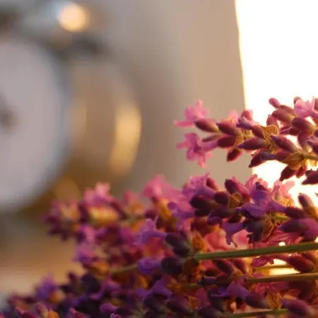 Hotel Gasthof Linden & Wildkrauterhotel 3*